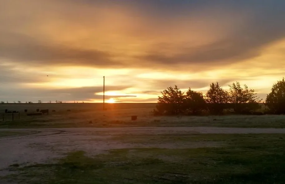 The Milburn ranch at dawn