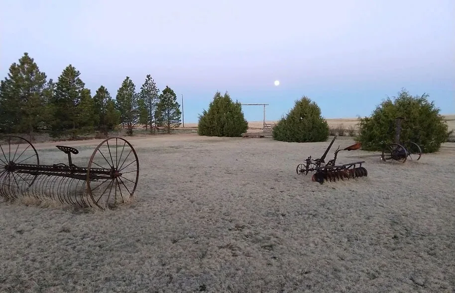 Old farm implements in the yard
